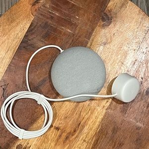 Google mini echo